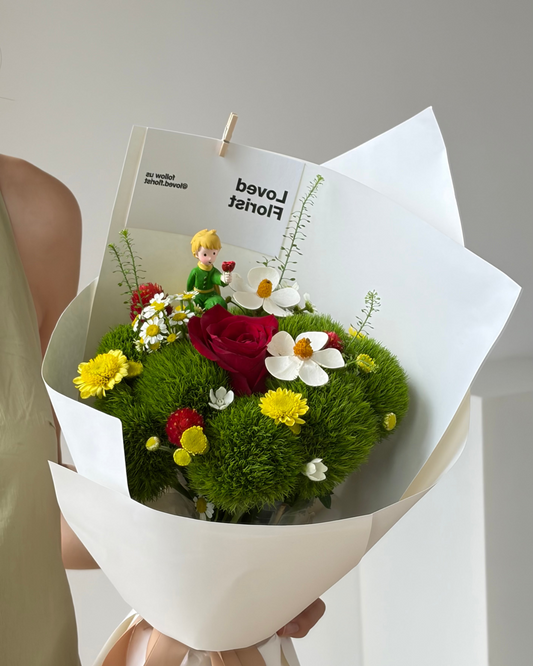 Little Prince Customise