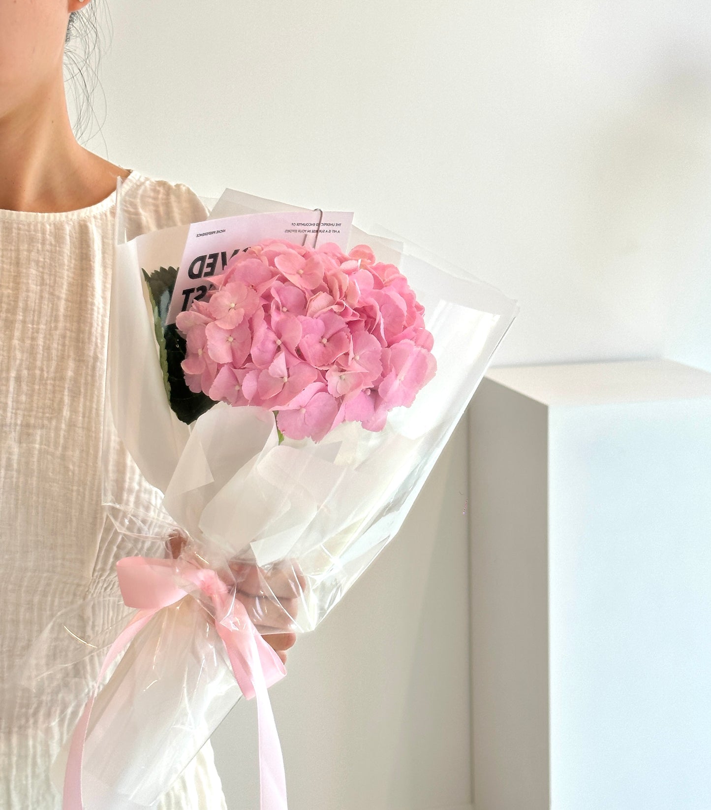 Single Hydrangea