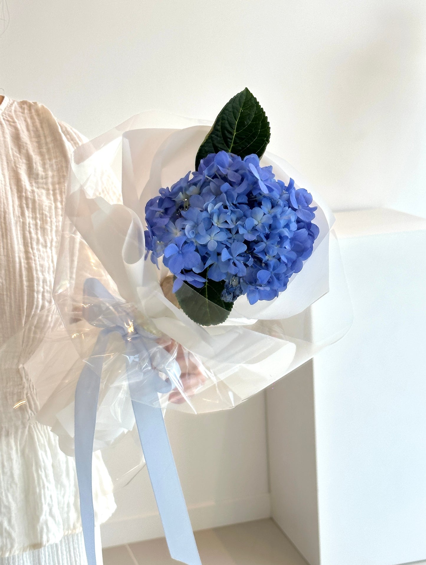 Single Hydrangea