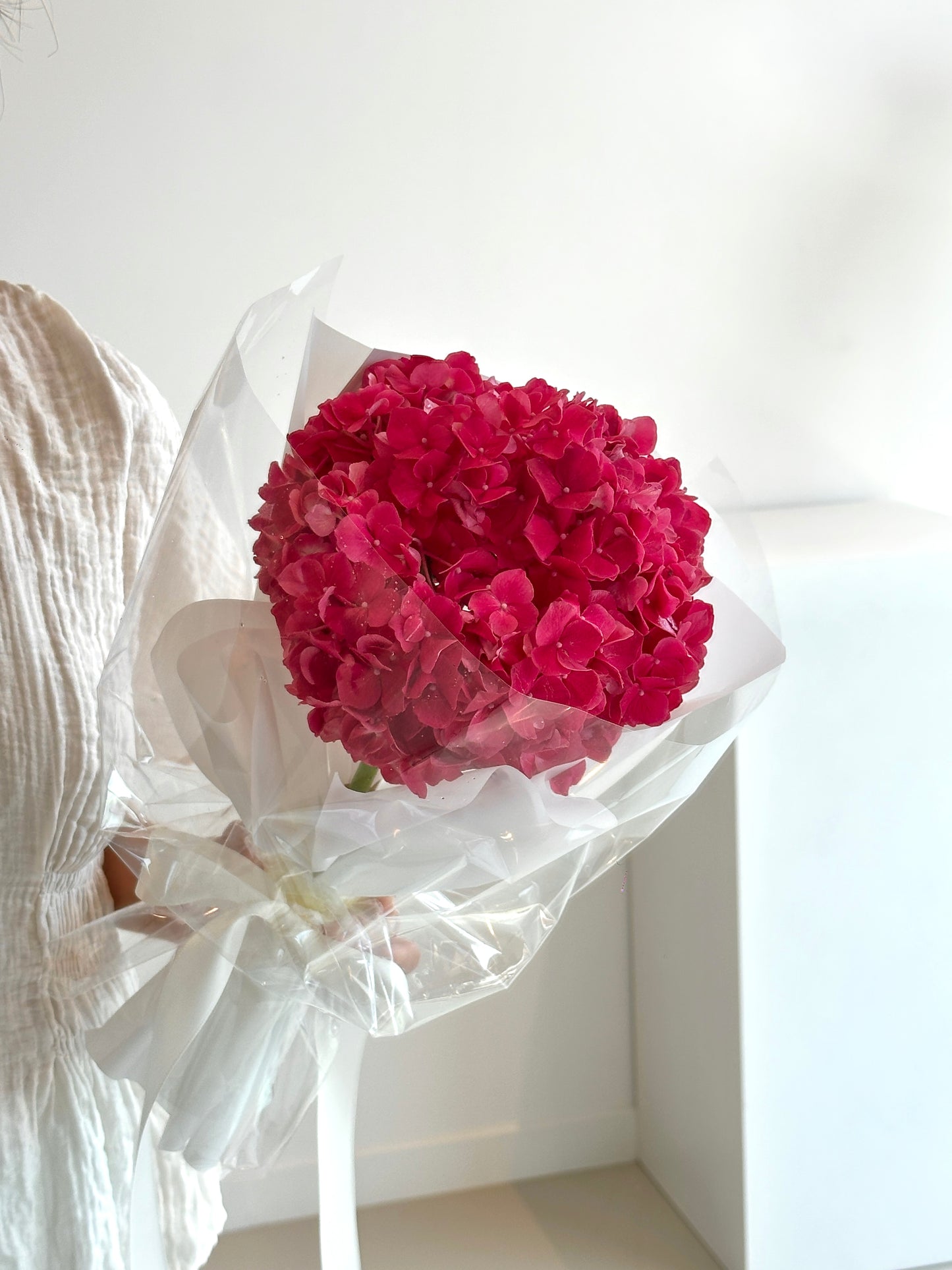 Single Hydrangea
