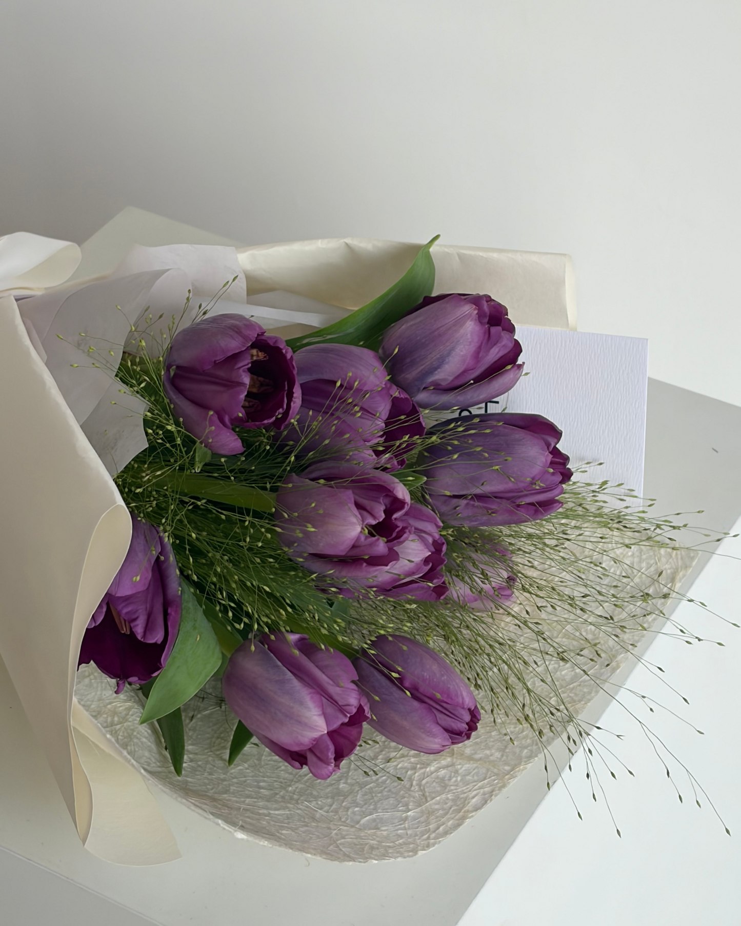 Purple Tulips