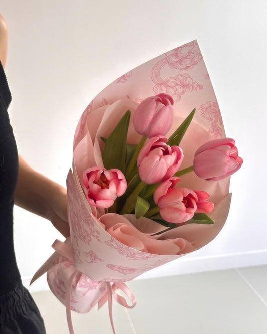 Pink Holland Tulip