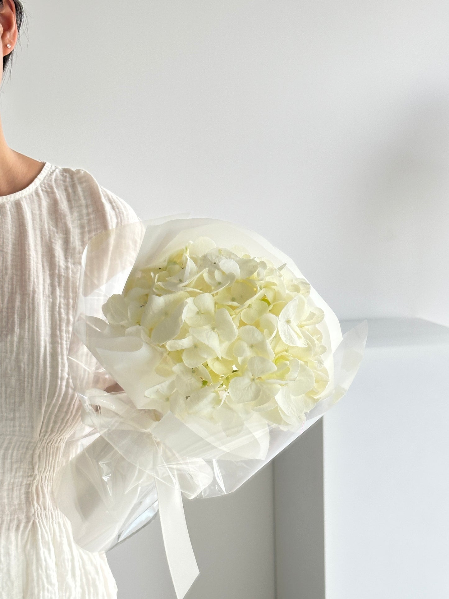 Single Hydrangea