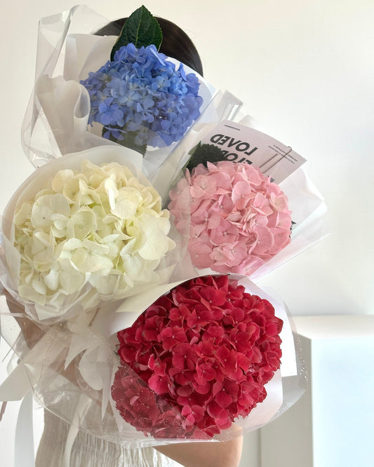 Single Hydrangea