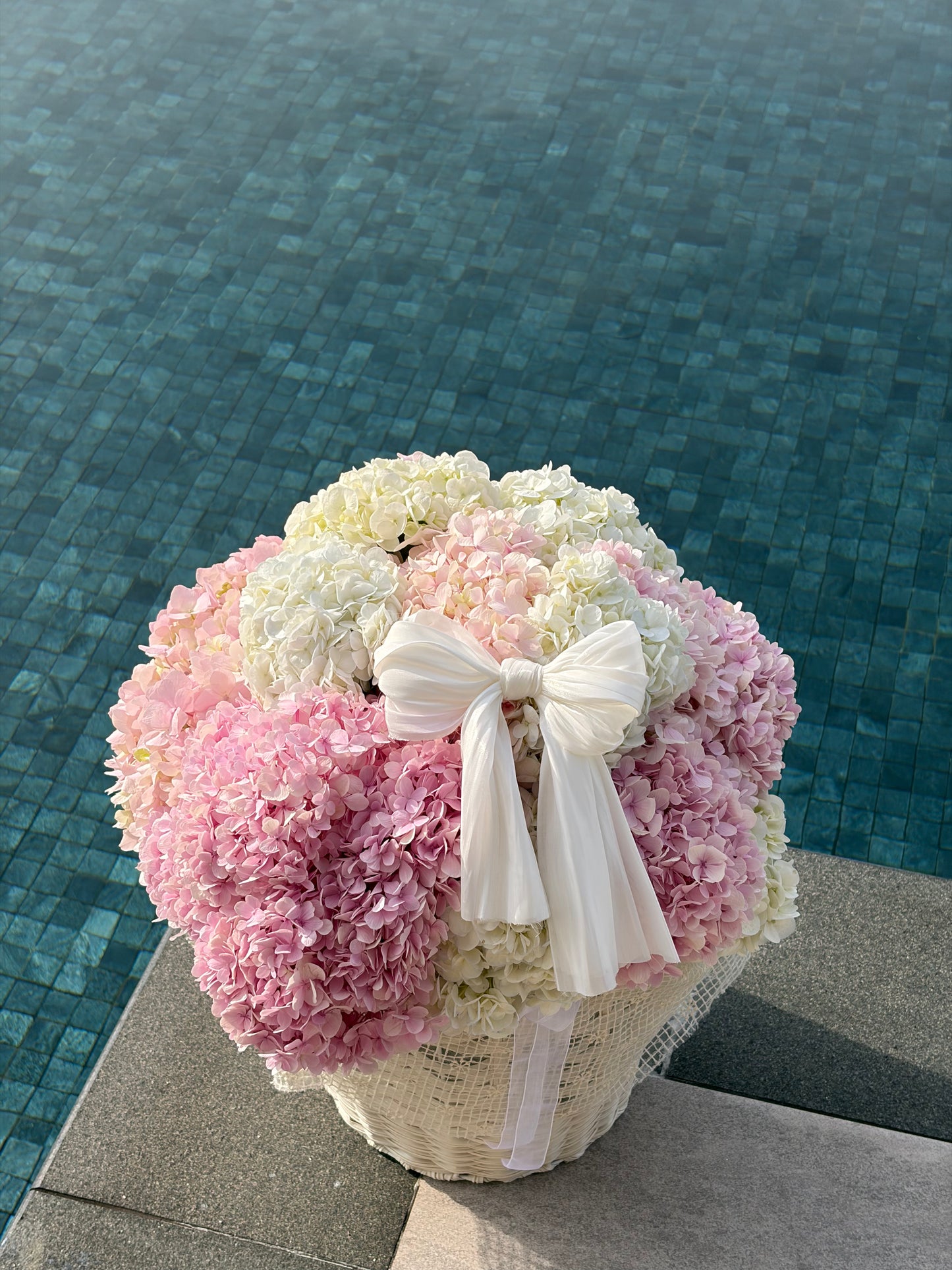 Hydrangea Lux Basket