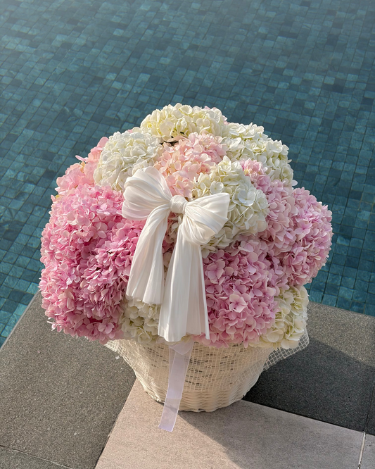 Hydrangea Lux Basket