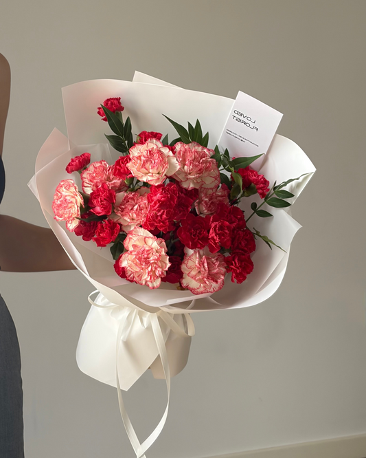 Strawberry Carnations