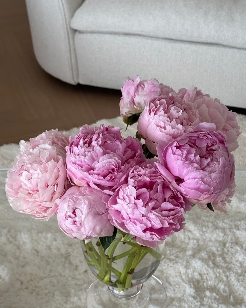 Peony